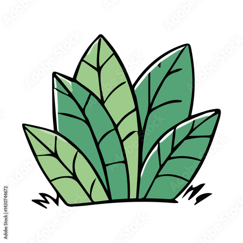Hand drawn shrub bush shrubbery tree. set of garden plant element. Eco element