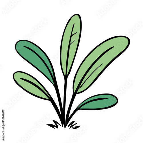 Hand drawn shrub bush shrubbery tree. set of garden plant element. Eco element