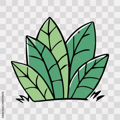 Hand drawn shrub bush shrubbery tree. set of garden plant element. Eco element