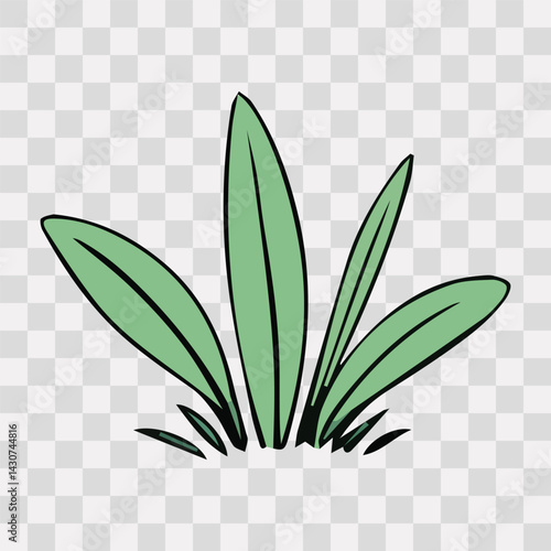 Hand drawn shrub bush shrubbery tree. set of garden plant element. Eco element