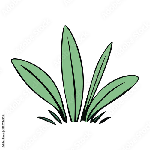 Hand drawn shrub bush shrubbery tree. set of garden plant element. Eco element