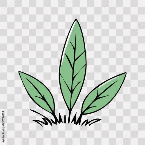 Hand drawn shrub bush shrubbery tree. set of garden plant element. Eco element