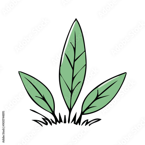 Hand drawn shrub bush shrubbery tree. set of garden plant element. Eco element