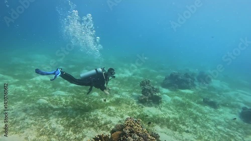 Trained sportsman in wetsuit swims with fishes over sea bottom. Relaxed diver observes spellbound scene of wild marine life in ocean deepness. Extreme hobby