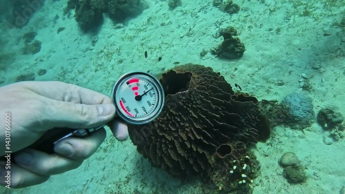 Diver hand holds submersible pressure gauge swimming over coral on sea bottom closeup. Sportsman checks air amount in balloons diving in tropical ocean depths