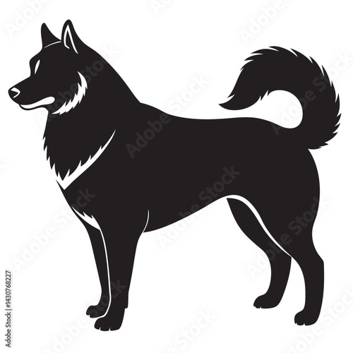 Alaskan malamute black silhouette of a standing dog 