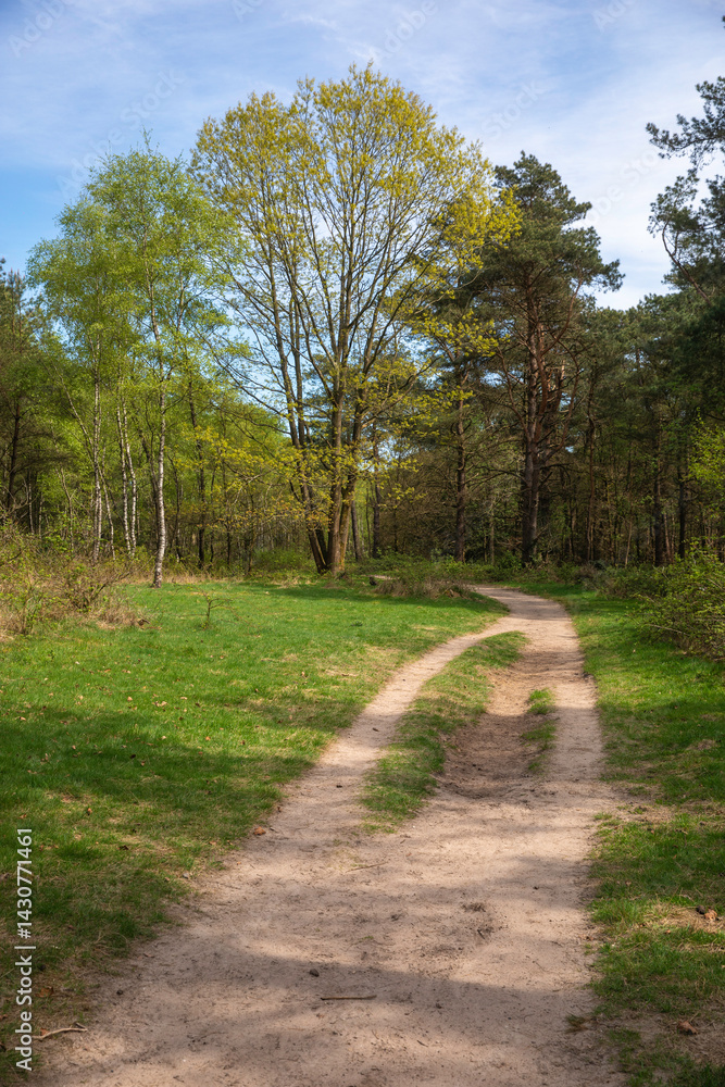 Veluwezoom bij Velp