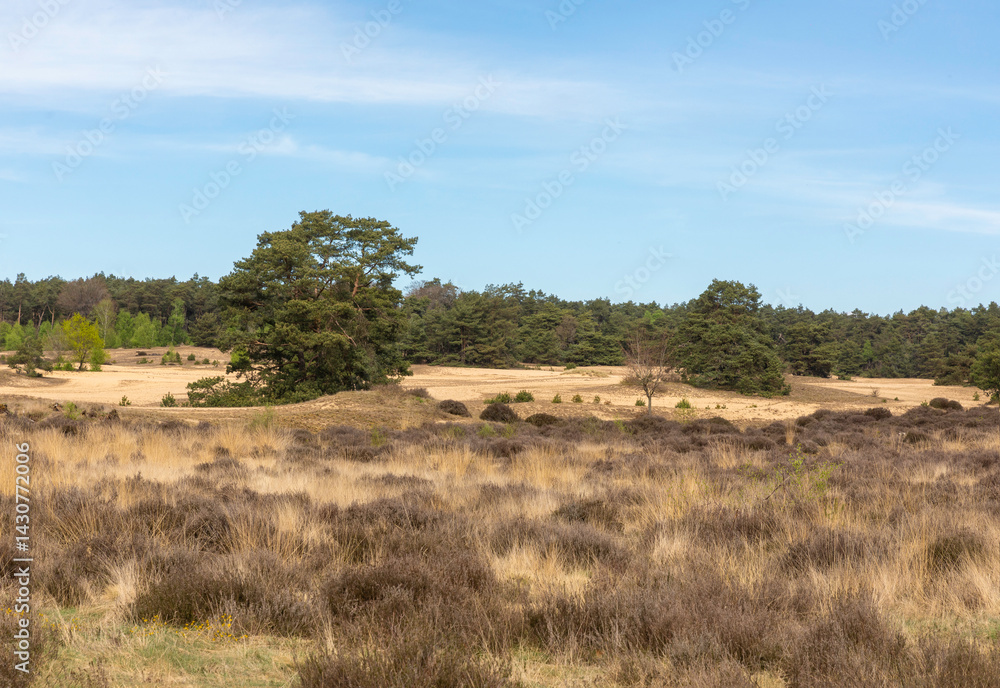 Veluwezoom bij Velp
