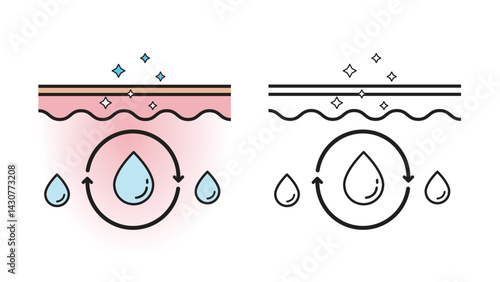 The mechanism of skin moisture with color and outline drawing vector isolated on white background. Infographic of skin absorption vector. Skin care and beauty concept. Flat icon illustration.