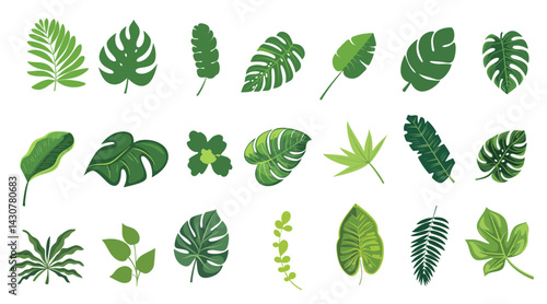 Set of tropical leaves SVG. illustration vector on transparent background minimal green summer jungle.