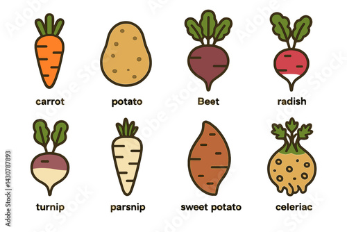 The root vegetables include carrot, potato, beetroot, radish, turnip, parsnip, sweet potato, and celeriac