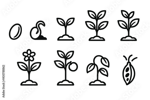 The life cycle of a plant consists of seed, sprout, young plant, mature plant, flower, fruit, wilt, and seed pod