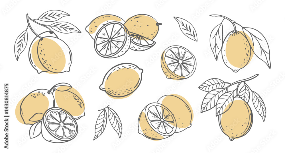 Lemon fruit outline set. Collection of lemon sketches with yellow spots. Hand drawn illustration. Lemon fruit outline set. Collection of lemon sketches with yellow spots. Hand drawn illustration.