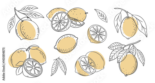 Lemon fruit outline set. Collection of lemon sketches with yellow spots. Hand drawn illustration.