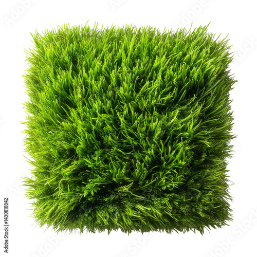 Obraz na płótnie Lush green synthetic grass perfect for landscaping or home decor projects w salonie