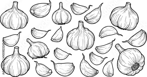Stylized illustrations of various garlic cloves and bulbs arranged in a creative pattern
