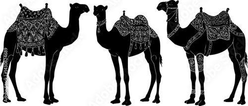 Vector illustration of three camels with saddles standing in a row showcasing different saddle designs and decorative styles, vector set