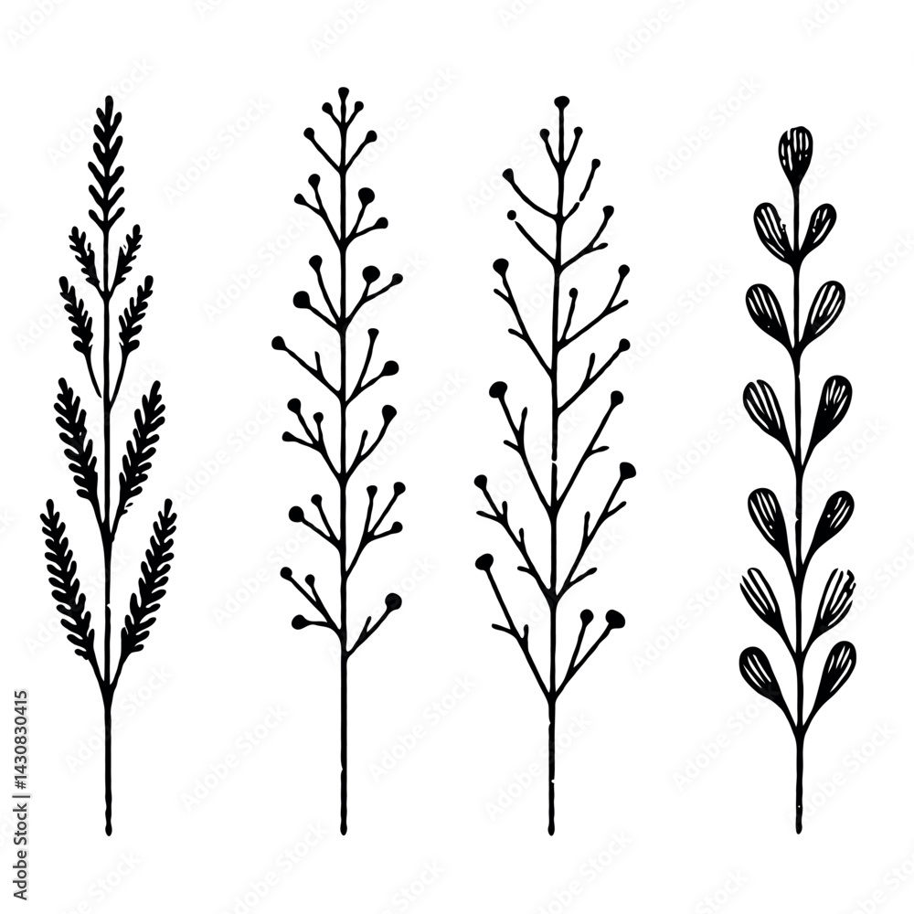 Fototapeta premium Hand drawn wild flowers Botanical drawing. Simple line art frieze, stems illustration. Black and White Meadow herbs. Stylized blooming twigs plants. Set of outline doodle floral sketch Leaves border