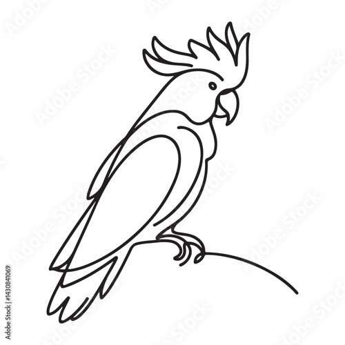 Cockatoo Silhouette Illustration Vector Bird Art Graphic Design