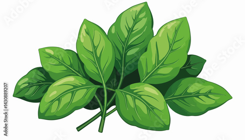 Vibrant spinach leaves on white background, fresh produce concept