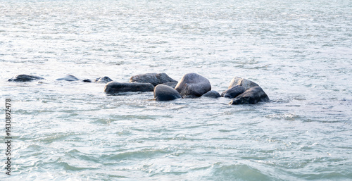 Large stone pebbles and rocks are scattered in the River Ganges in Rishikesh. This natural feature enhances the river's beauty and charm.