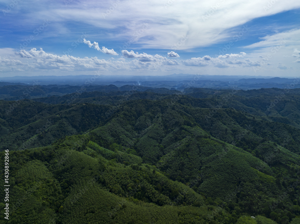 Fototapeta premium Aerial view of lush green forest and mountains under cloudy sky , beautiful countryside of Thailand. sunny afternoon. wonderful springtime landscape in mountains.