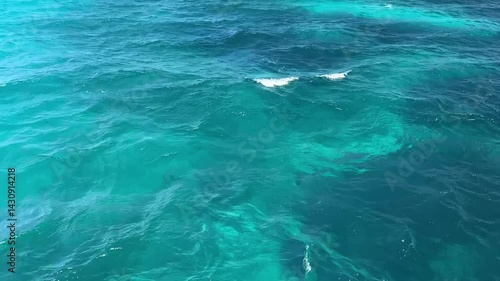 Wallpaper Mural floating along the deep blue sea Torontodigital.ca