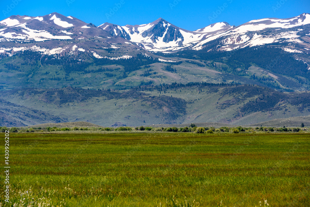 Fototapeta premium Vast green fields meet majestic snow-capped mountains under a clear blue sky in an untouched landscape