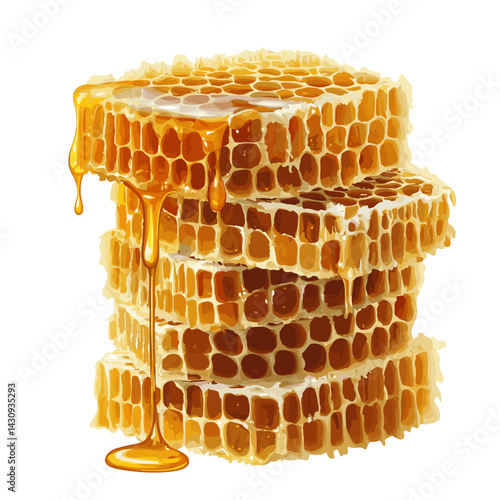 Fresh honeycomb, honey products by organic natural ingredients concept vector illustration isolated on transparent background