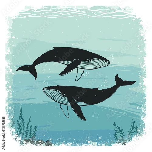 Two whales swimming gracefully in a serene underwater scene  