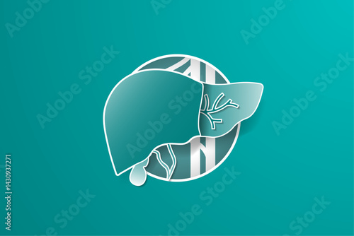 Liver cut out illustration with gallbladder and partial view of cystic ducts. Healthy liver diagram with inferior vena cava and aorta behind liver. Vector Illustration. 