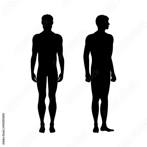 silhouettes of standing human figures in forward and side poses, ideal for artistic references, anatomical studies, design templates, and creative digital projects
