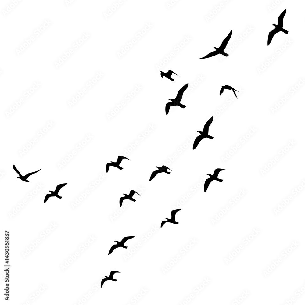 Silhouette of a flock of birds flying dynamically, freedom and motion concept, black and white vector illustration
Silhouette of a flock of birds flying dynamically, freedom and motion concept, black and white vector illustration
