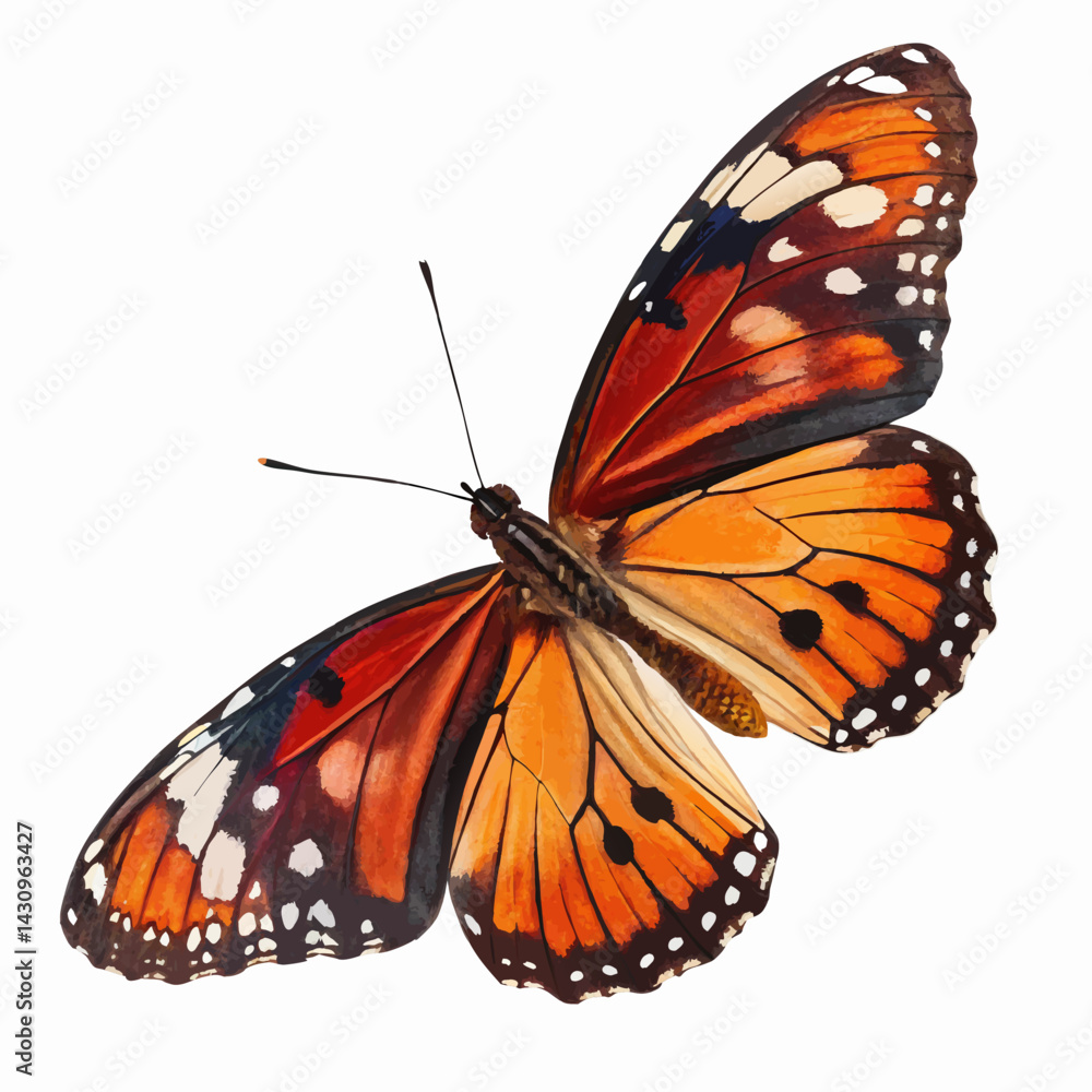 Fototapeta premium butterfly on a white background