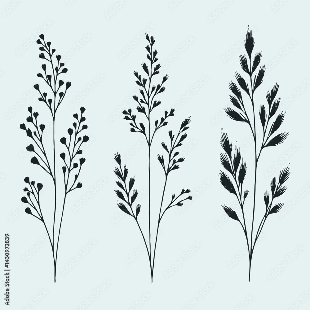 Black and White Meadow wild herbs Herbaceous blooming plants. Set of outline doodle floral sketch Leaves. Hand drawn Wheat rye. Ears Botanical drawing. Line art grasses stems grain spikes illustration Black and White Meadow wild herbs Herbaceous blooming plants. Set of outline doodle floral sketch Leaves. Hand drawn Wheat rye. Ears Botanical drawing. Line art grasses stems grain spikes illustration