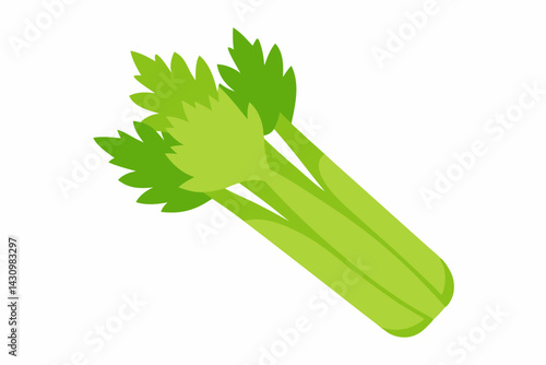 celery vector illustration
