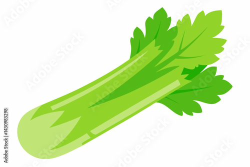 celery vector illustration