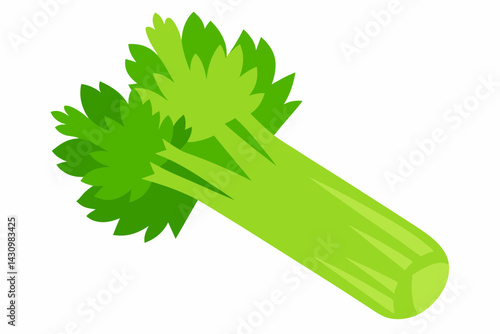celery vector illustration