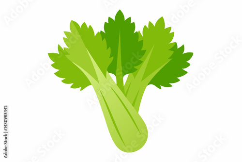celery vector illustration