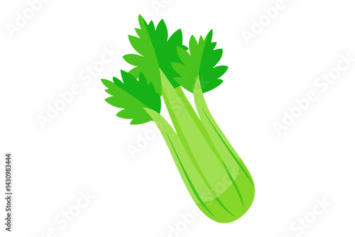 celery vector illustration
