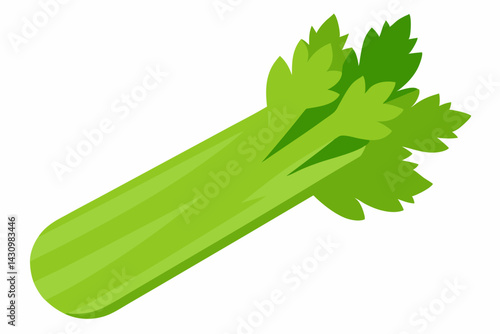 celery vector illustration