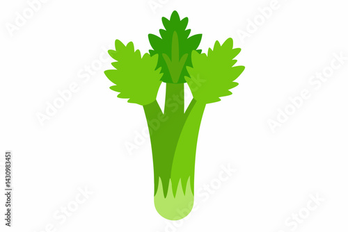 celery vector illustration