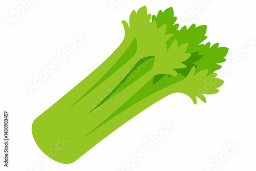 celery vector illustration