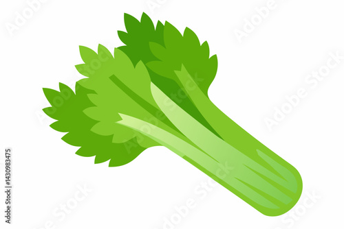 celery vector illustration