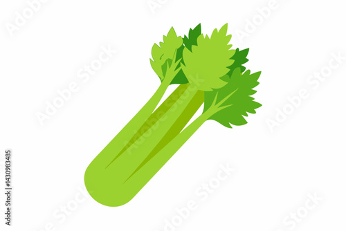 celery vector illustration