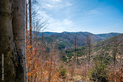 Obraz na płótnie Beautiful mountain landscape of Beskid Żywiecki. Tree trunk in the foreground. Colorful leaves on trees. View from the trail to Wielka Racza w salonie