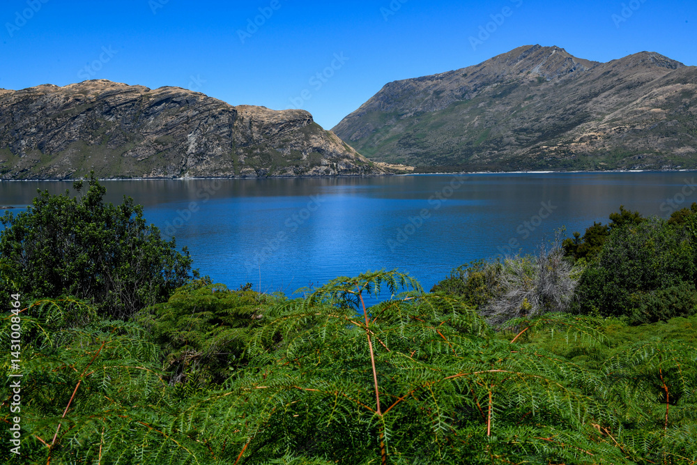 Landscape of Mou Waho scenic reserve in lake Wanaka, New Zealand
