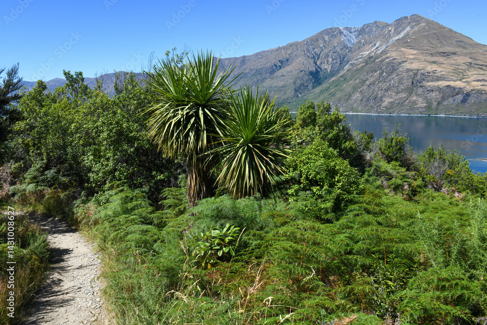 Landscape of Mou Waho scenic reserve in lake Wanaka, New Zealand
