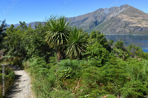 Obraz na płótnie Landscape of Mou Waho scenic reserve in lake Wanaka, New Zealand w salonie