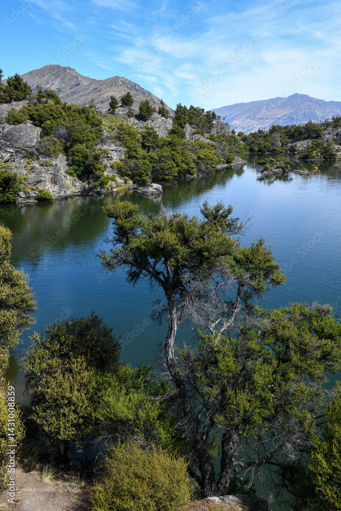 Landscape of Mou Waho scenic reserve in lake Wanaka, New Zealand